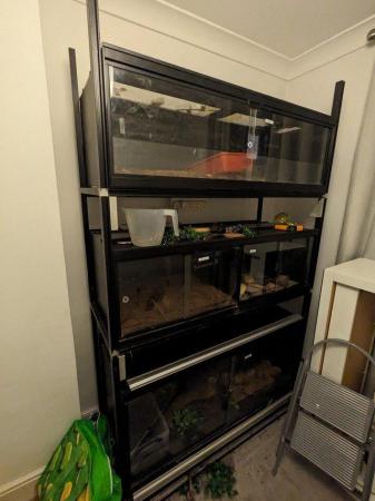 Image 5 of Racking system with vivariums