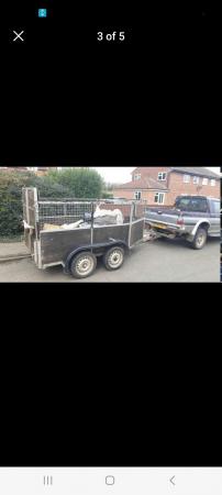Image 1 of Twin axle converted horsebox trailer