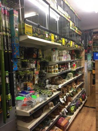 Image 8 of Warrington pets and exotics a fully stocked pet shop/store