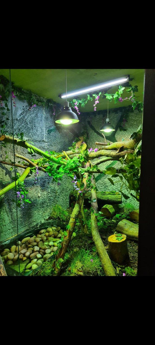 Preview of the first image of Staffordshire exoticsrescue centre.