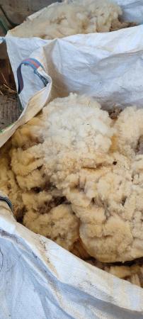 Image 3 of Fleeces for mulch, liners etc