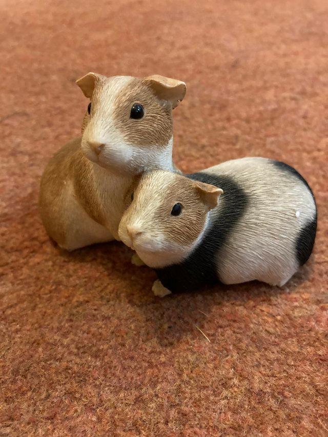 Preview of the first image of Leonardo and Sherratt and Simpson Guinea Pig models.