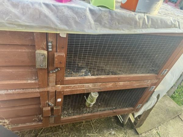 Image 2 of Rabbit/ guinea pig cages