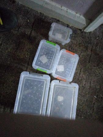 Image 5 of Assorted  plastic  tubs ideal for tarantulas