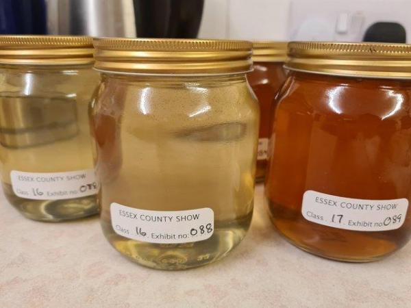 Image 1 of 15kg Bucket of Raw Multi-floral Honey Summer 2023 Bulk