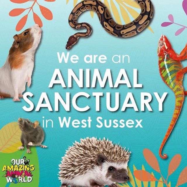 Preview of the first image of Animal Rescue Sanctuary in West Sussex.