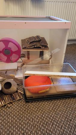 Image 1 of Large Hamster enclosure/cage