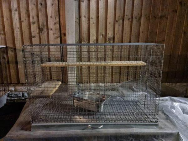 Image 2 of HUGE CHINCHILLA and DEGU CAGE