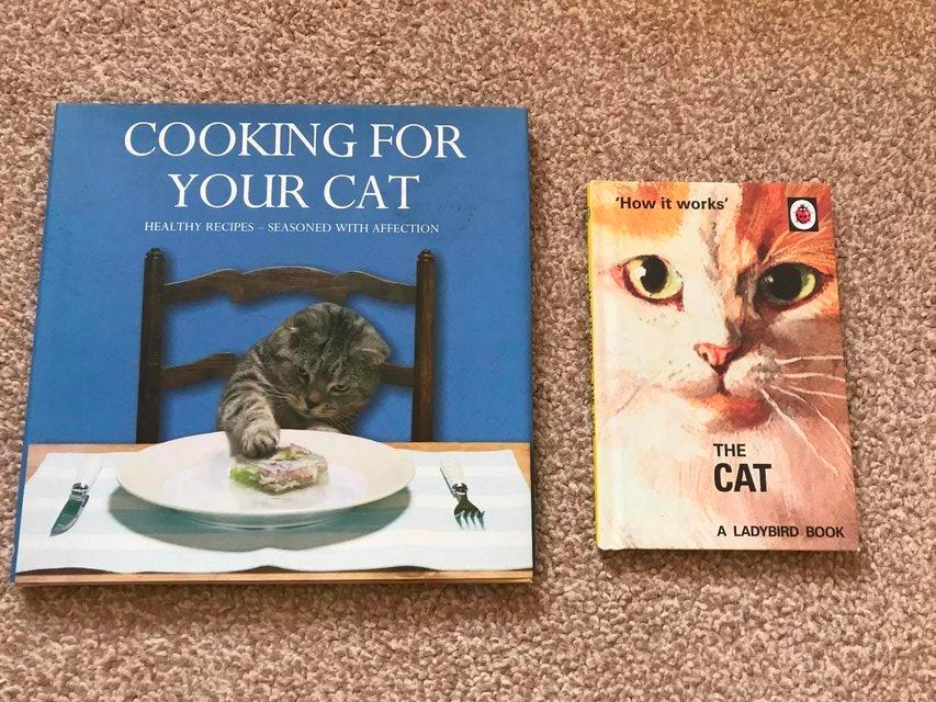 Preview of the first image of Hardback Books for Cat Lovers x 2.
