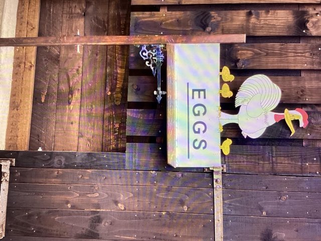 Preview of the first image of Hand made by sign man, eggs for sale sign.