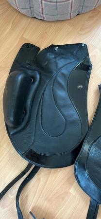 Image 1 of BLACK WOW EQUITANA FLAPS - Excellent Condition