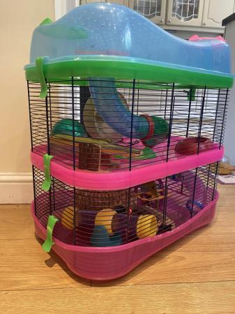 Image 5 of Deluxe three storey hamster cage