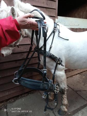 Image 1 of Zilco small pony pairs breast collars