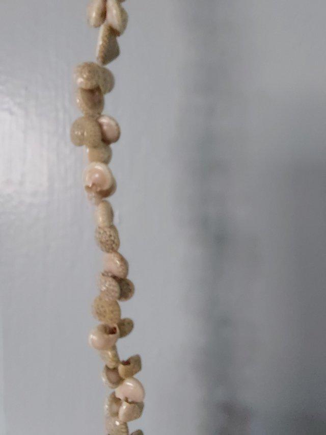 Preview of the first image of Shell necklace,  made from real shells.