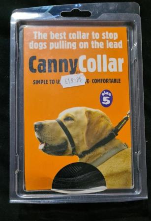 Image 1 of Canny collar only used it twice