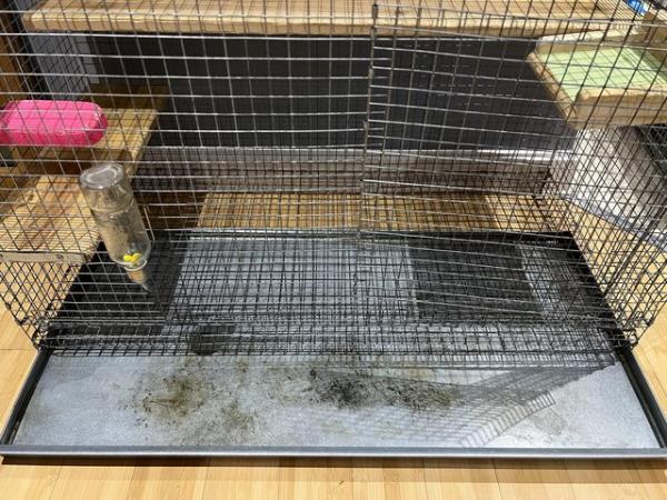 Image 5 of Two Thicket House Chinchilla Cage Plus Accessories