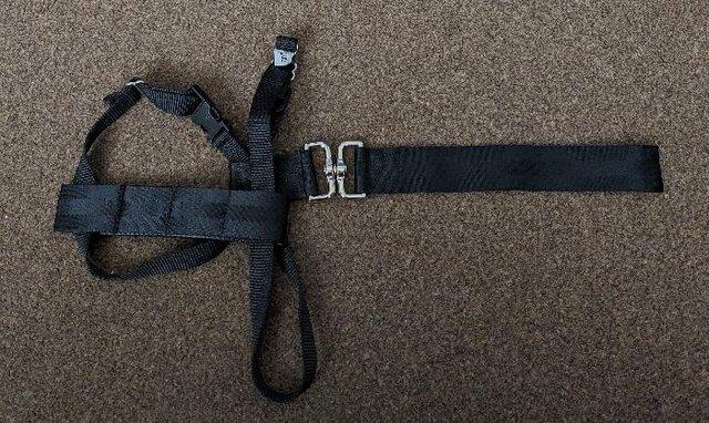 Image 1 of Dog Car Travel Harness In Black - Size S     BX15