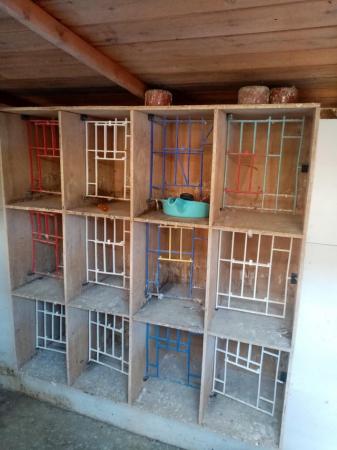 Image 1 of Block of 12 pigeon boxes