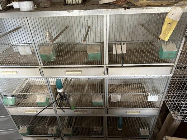 Image 2 of Budgie breeding boxes for sale