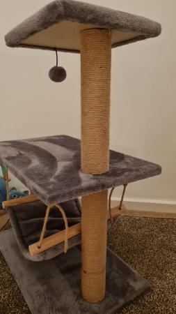 Image 3 of Cat scratch post with hammock