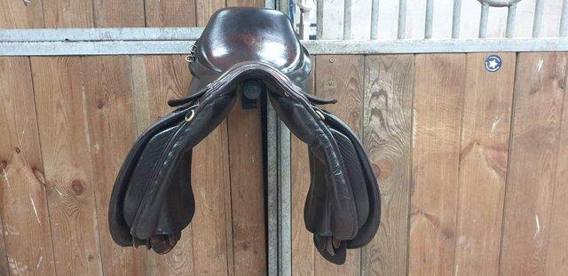 Image 1 of 17" W VSD havana leather saddle