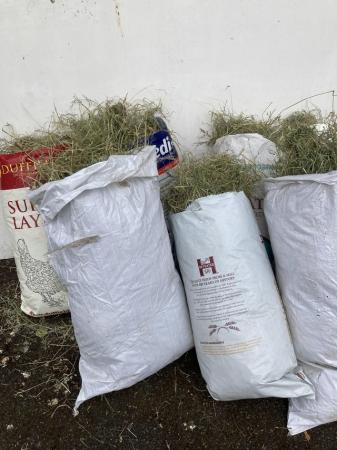 Image 2 of New meadow hay collected and bales last week