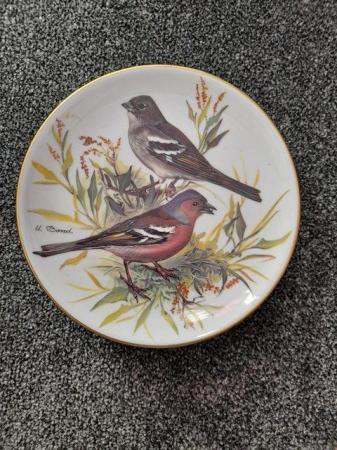 Image 3 of SET OF 8 BEAUTIFUL  BIRD PLATES FOR SALE