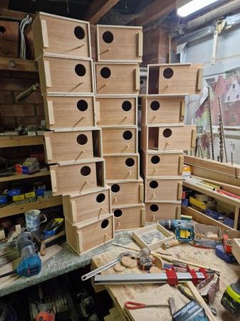 Image 3 of Budgerigar wooden nest boxes.