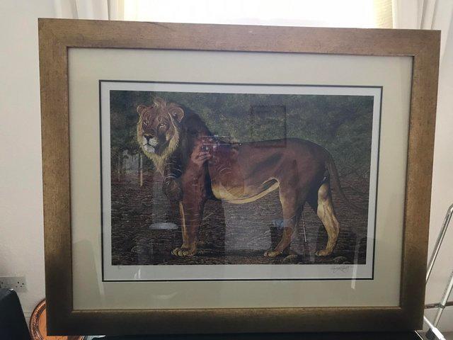 Preview of the first image of Craig Roberts framed lion print.