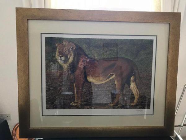 Image 1 of Craig Roberts framed lion print