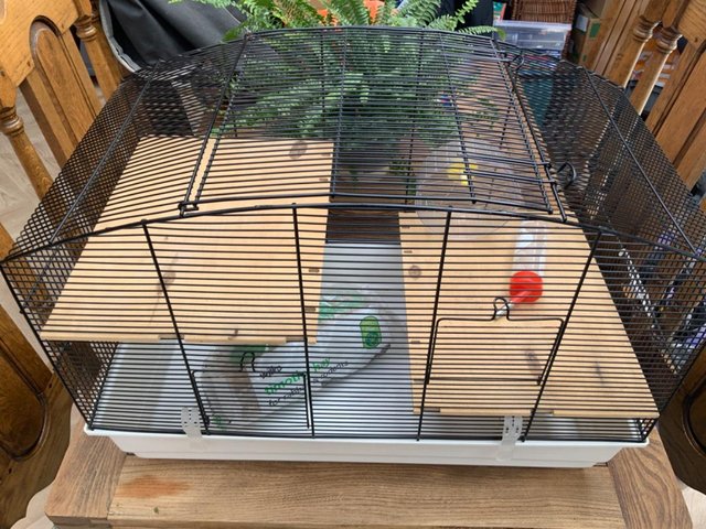 Preview of the first image of Hamster Roborovski/Mini/Dwarf large pet cage.