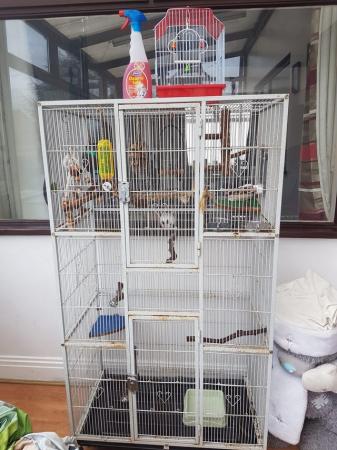 Image 2 of Large parrot cage lots toys
