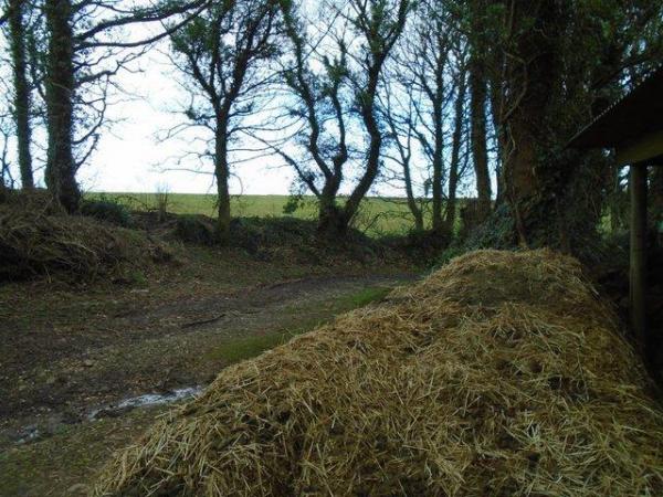 Image 1 of FREE HORSE MANURE FOR THE GARDEN