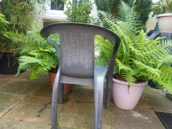 Image 2 of 2 ferns - £30 each or £ 50 for both