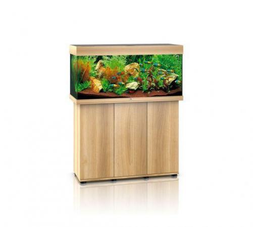 Image 11 of Fish Tanks Available At The Marp Centre