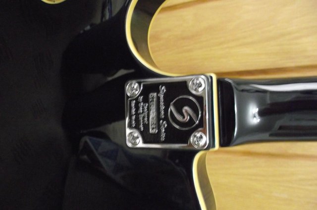 Image 4 of SAMICK ELECTRIC GUITAR WITH HARD CASE
