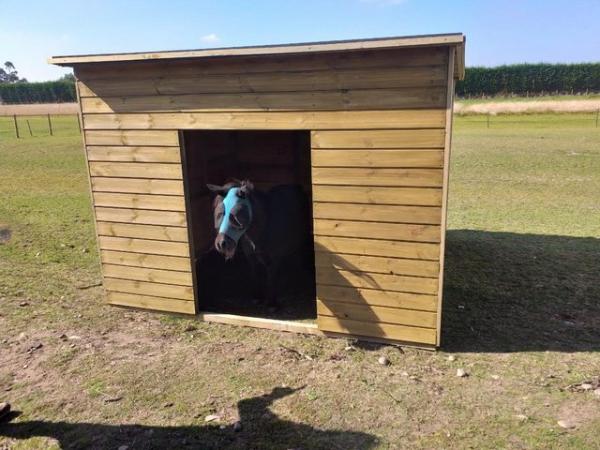 Image 8 of 8ft x 5ft x 5'6'' field pony shelter