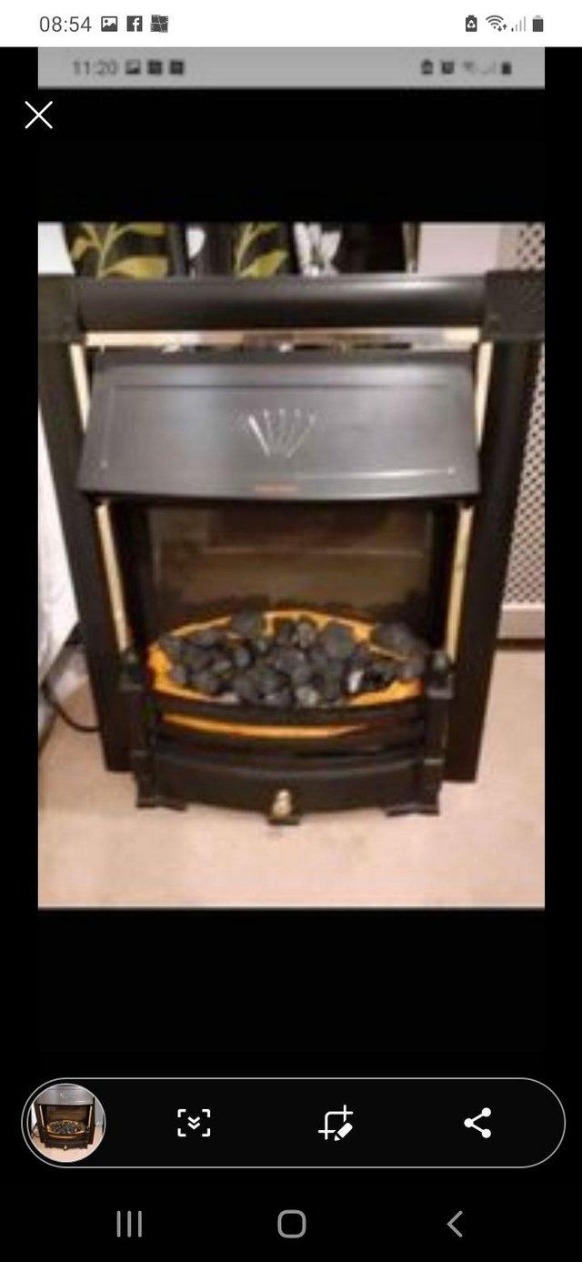 Preview of the first image of Dimplex Electric Fire coal effect.