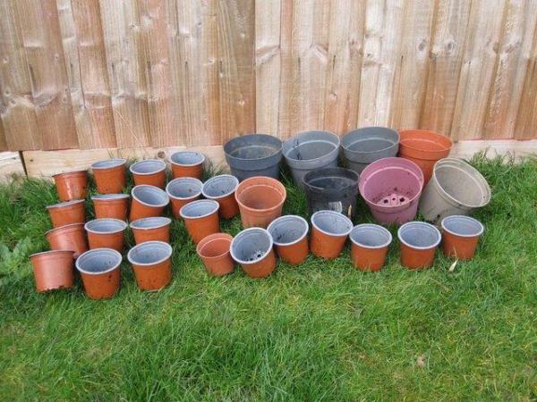 Image 1 of Assortment of different size plastic plant pots