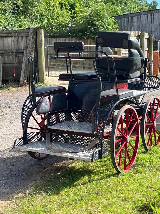 Preview of the first image of Marathon Driving Carriage.
