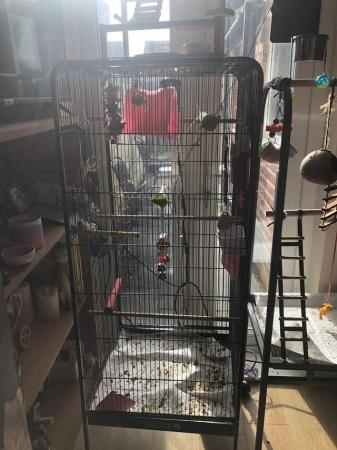 Image 5 of Large bird cage . Excellent condition