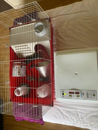 Image 3 of Automatic incubator heat light feeders and cage full starter