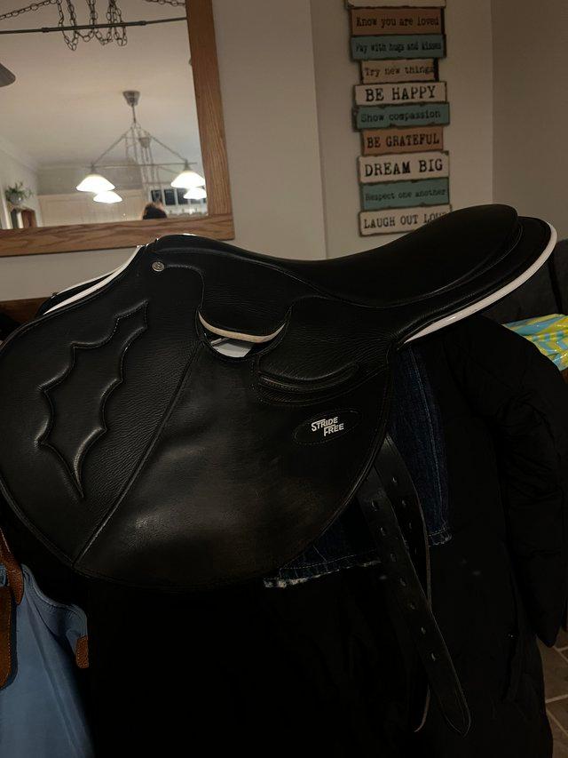 Preview of the first image of stride free exercise saddle 500£.