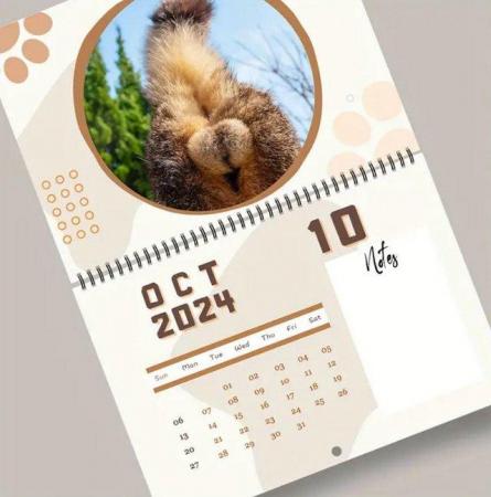 Image 2 of 2024 Year Cat Balls Calendar, Funny Cat Calendar, Essential