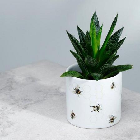 Image 2 of The Nectar Meadows Bee Ceramic Indoor Plant Pot - Small
