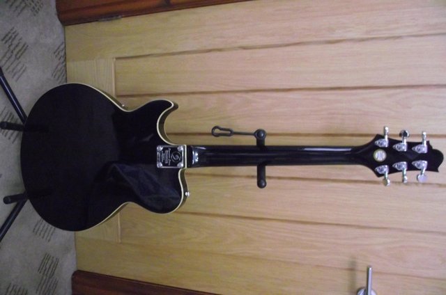 Image 3 of SAMICK ELECTRIC GUITAR WITH HARD CASE