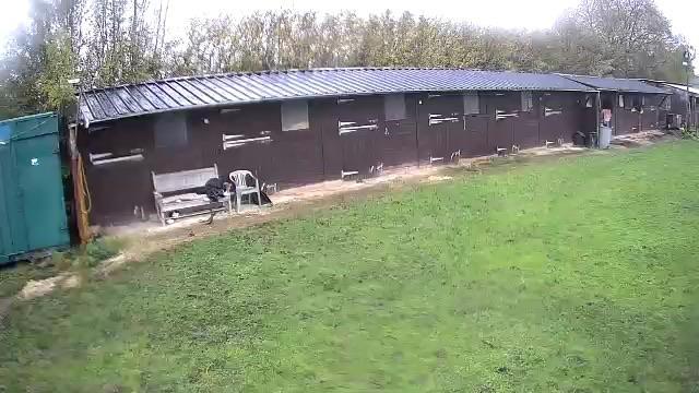 Image 3 of Livery swillington stable and grazing