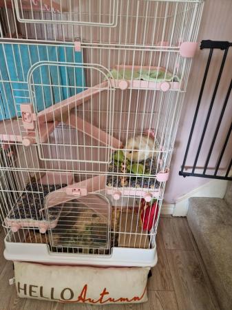 Image 2 of Chinchilla/rat small animal cage for sale