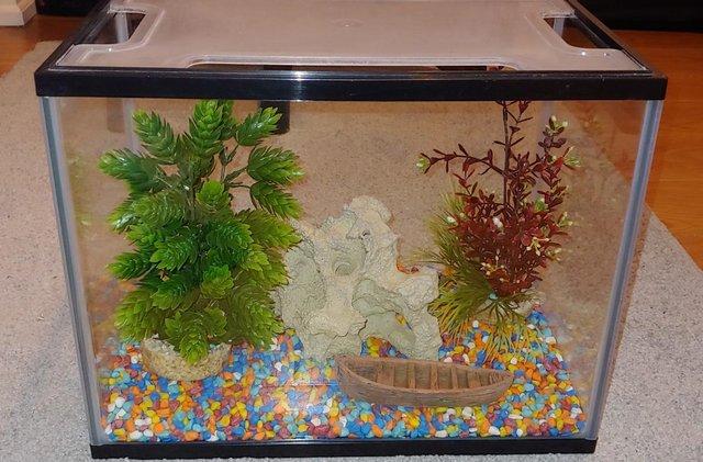 Preview of the first image of AquaTown 19 litre fish tank, filter and accessories.