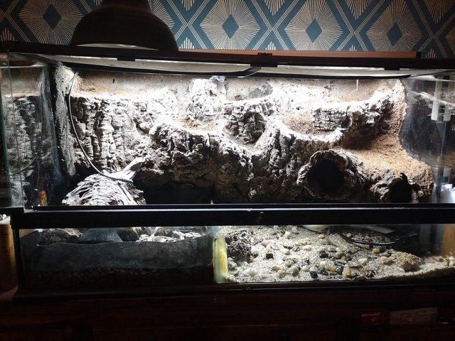 Preview of the first image of Exo Terra terrarium/semi aquatic setup 90x45x45cm with elect.
